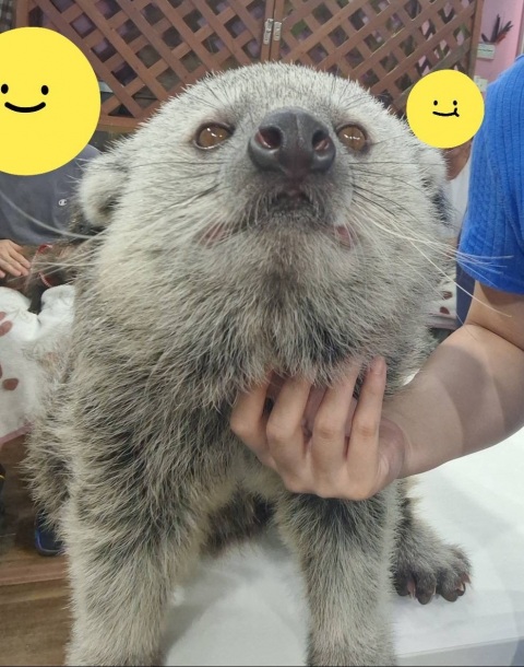 写メ