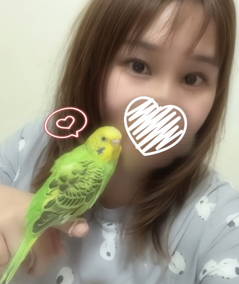 写メ