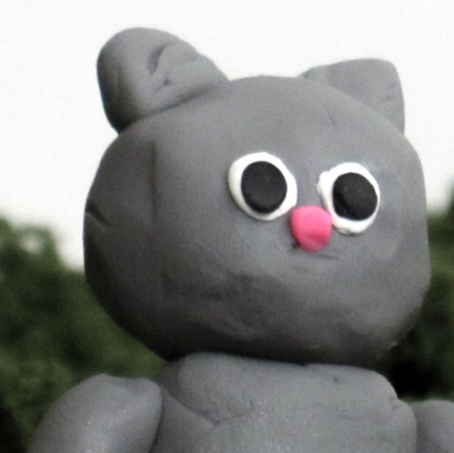 アップロード画像