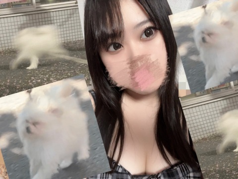 写メ